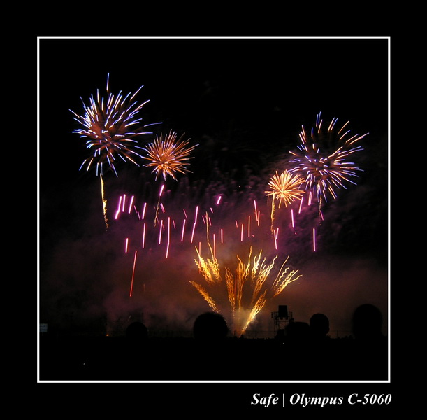 2004 - 05 - Feux de chantilly 013